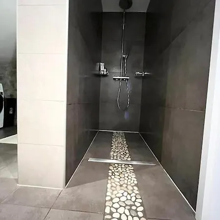 شقة Charmant Appartement Rivaz Rivaz